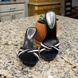 Gianni Bini Slides